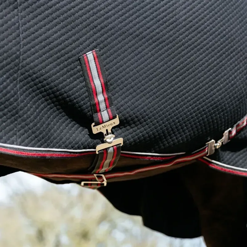 LeMieux Kudos Bamboo Cooler Rug - Black-3