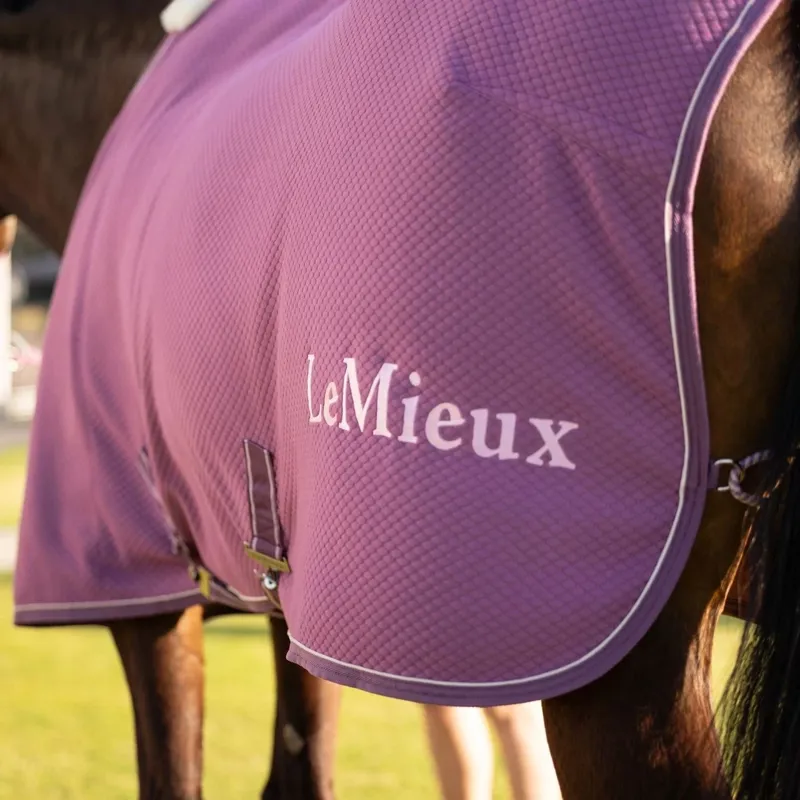 LeMieux Kudos Bamboo Cooler Rug - Mallow-1