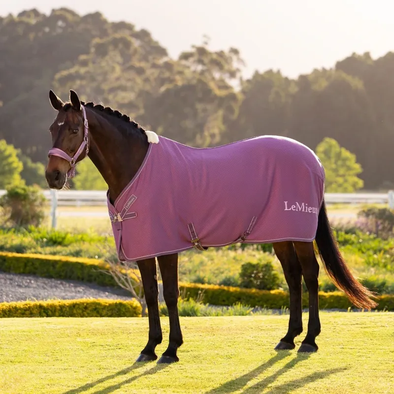 LeMieux Kudos Bamboo Cooler Rug - Mallow-2