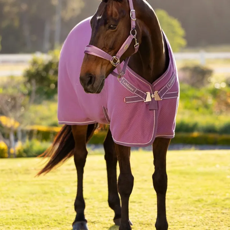 LeMieux Kudos Bamboo Cooler Rug - Mallow-4