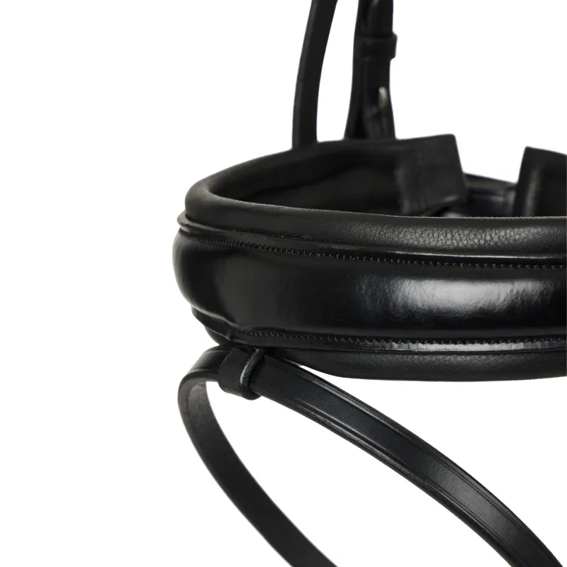 LeMieux Kudos Classic Dressage Flash Bridle - Black-6