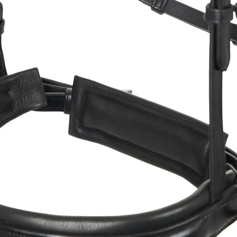 LeMieux Kudos Classic Dressage Flash Bridle - Black-5