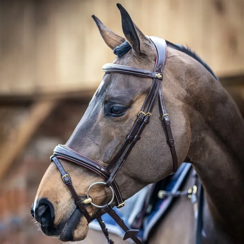 LeMieux Kudos Competition Flash Bridle - Havana-2