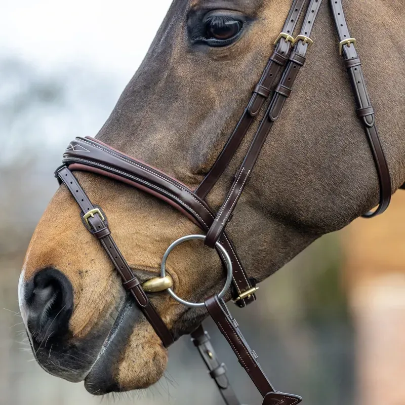 LeMieux Kudos Competition Flash Bridle - Havana-3