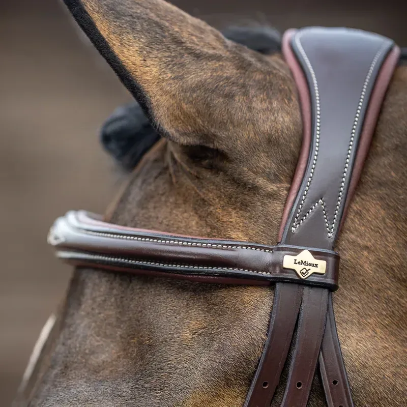 LeMieux Kudos Competition Flash Bridle - Havana-4
