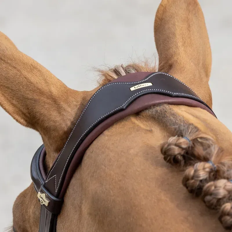 LeMieux Kudos Competition Flash Bridle - Havana-5