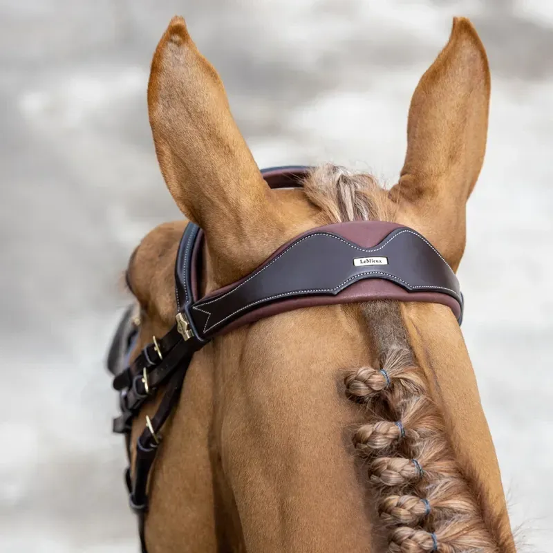 LeMieux Kudos Competition Flash Bridle - Havana-6