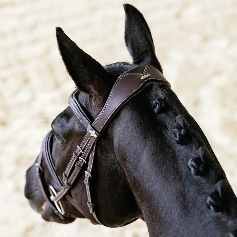 LeMieux Kudos Contour Flash Bridle - Brown-4