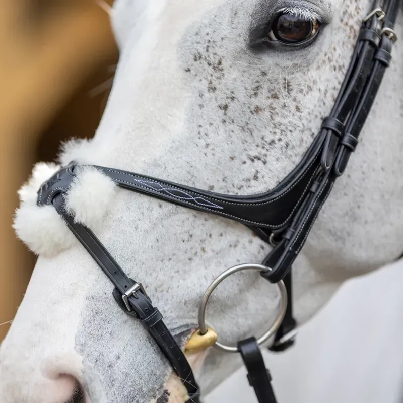 LeMieux Kudos Grackle Bridle - Black-4