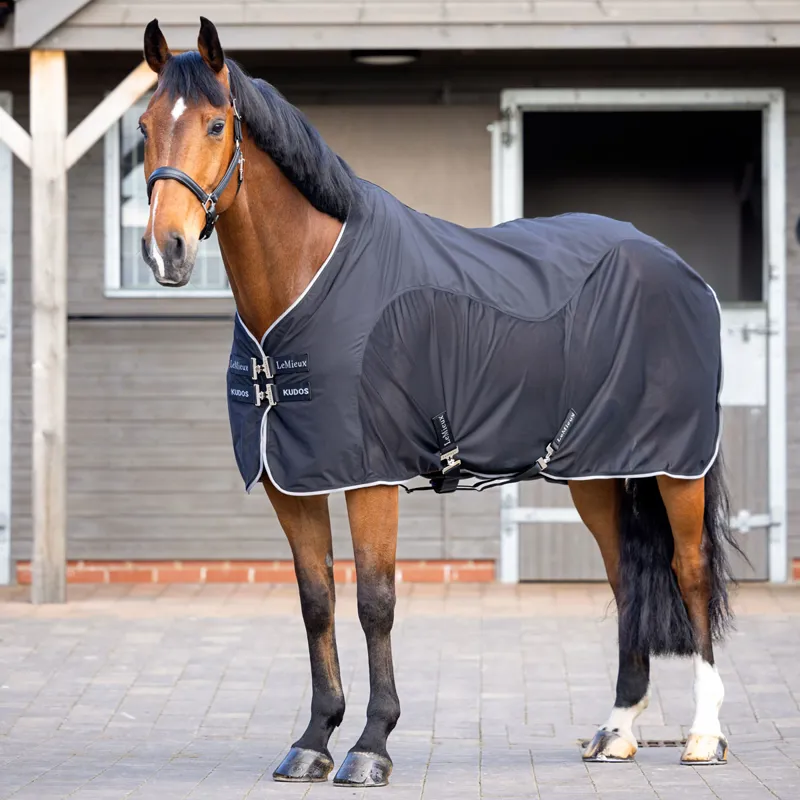 LeMieux Kudos Hybrid Cooler Rug - Black