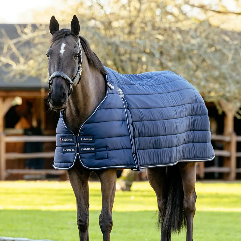 LeMieux Kudos 100g Rug Liner - Navy-11