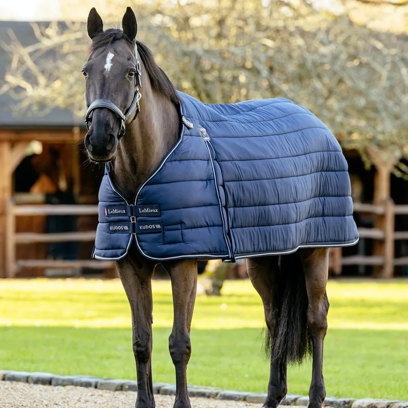LeMieux Kudos 350g Rug Liner - Navy-2