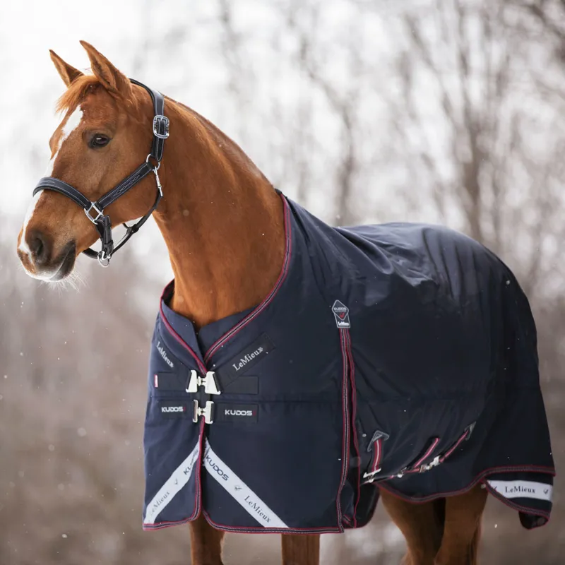 LeMieux Kudos 100g Detachable Neck Turnout Rug - Navy-1
