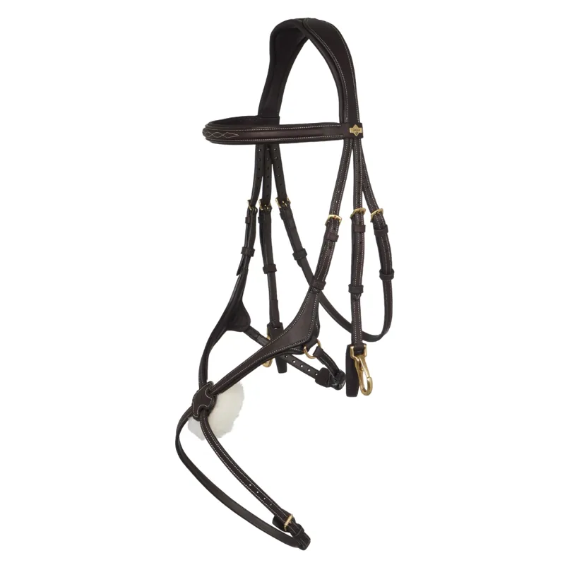 LeMieux Kudos Work Grackle Bridle - Brown/Brass-1