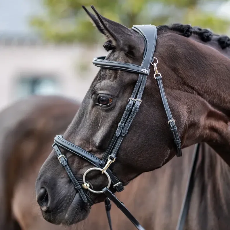 LeMieux Kudos Work Detachable Flash Bridle - Black-1