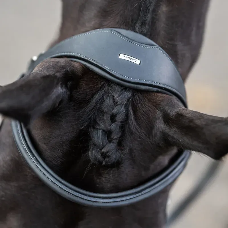 LeMieux Kudos Work Detachable Flash Bridle - Black-2