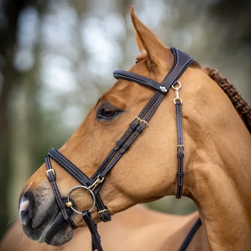 LeMieux Kudos Work Detachable Flash Bridle - Havana-1