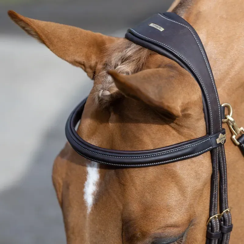 LeMieux Kudos Work Detachable Flash Bridle - Havana-2