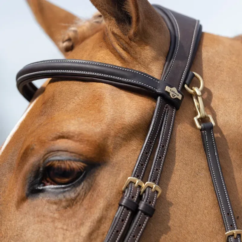 LeMieux Kudos Work Detachable Flash Bridle - Havana-3