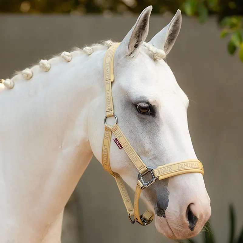 LeMieux Logo Headcollar - Mimosa-1