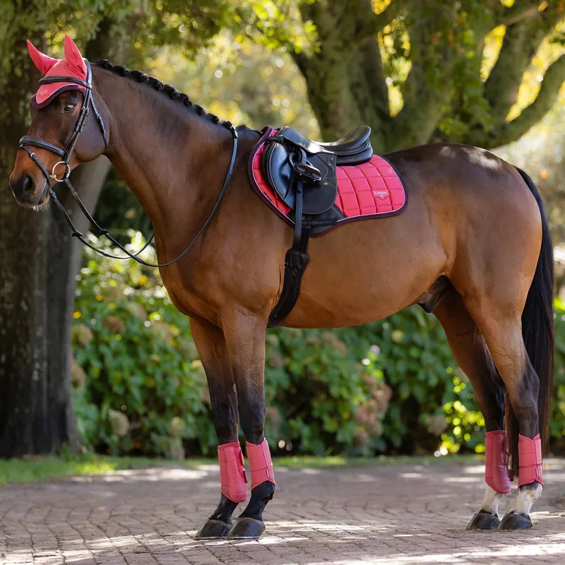 LeMieux Loire Classic Close Contact Square - Cranberry-2