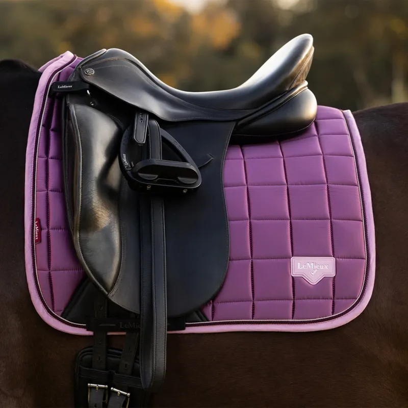 LeMieux Loire Classic Dressage Square - Mallow-1