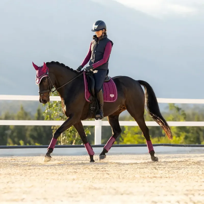 LeMieux Loire Classic Dressage Square Saddlecloth - Blackberry-1