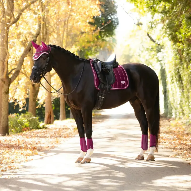 LeMieux Loire Classic Dressage Square Saddlecloth - Blackberry-6