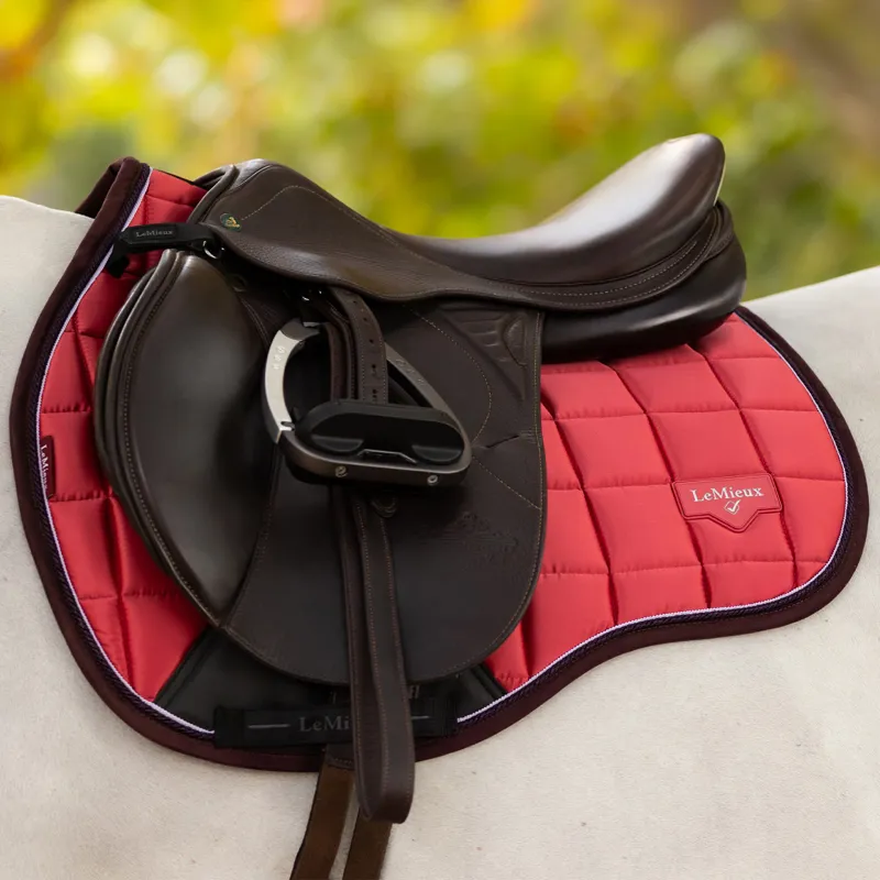 LeMieux Loire GP Square - Cranberry-1