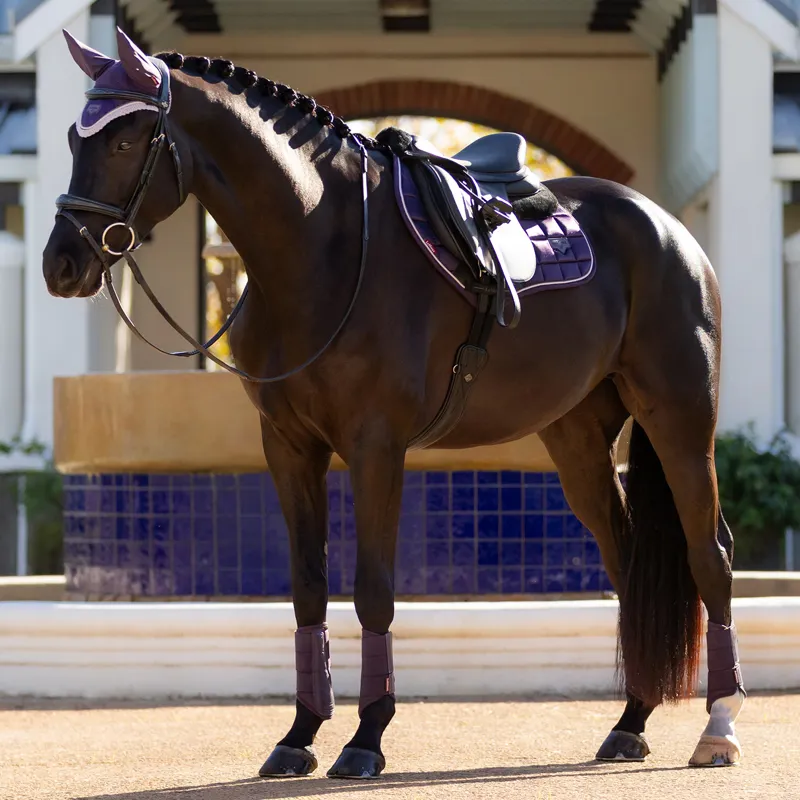 LeMieux Merino+ Loire Classic Close Contact Square - Juniper-1