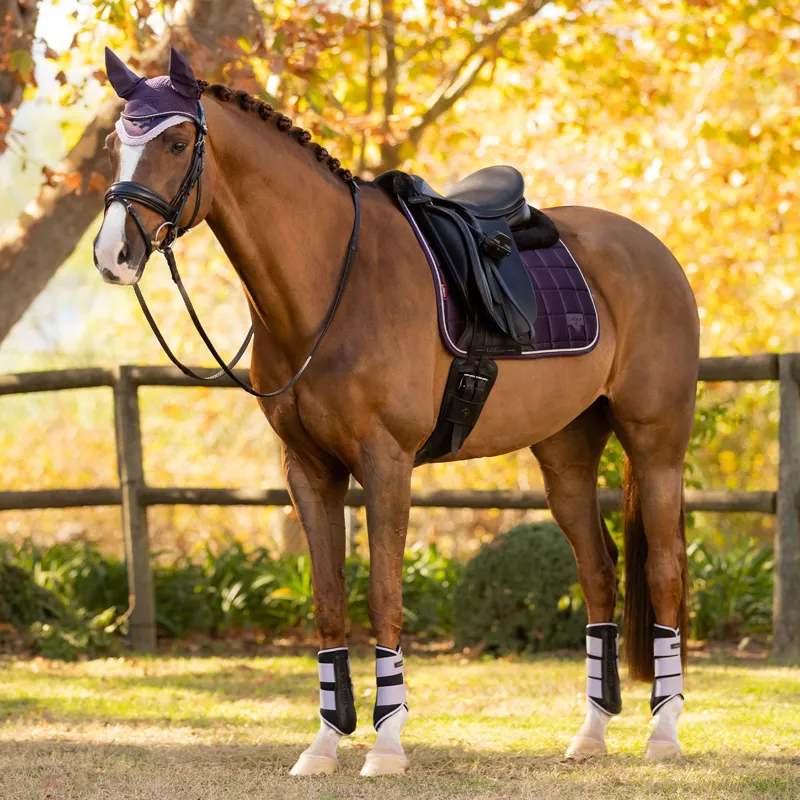 LeMieux Merino+ Loire Classic Dressage Square - Juniper-2