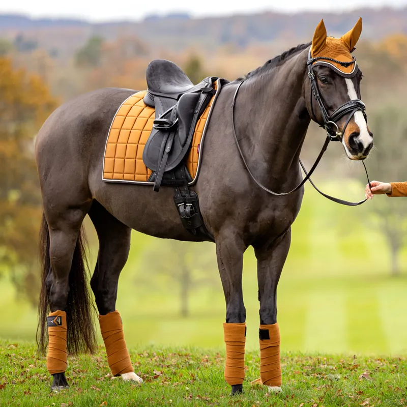 LeMieux Loire Classic Satin Dressage Square - Ginger-3