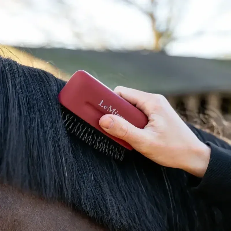 LeMieux Mane Tamer - Red-2