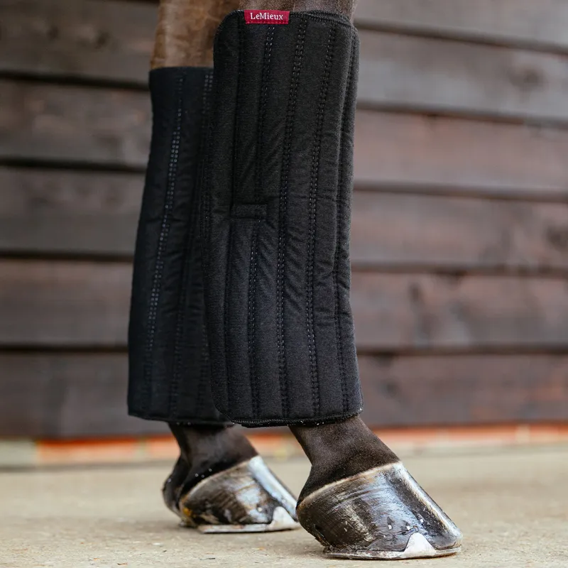 LeMieux Memory Foam Bandage Pads - Black