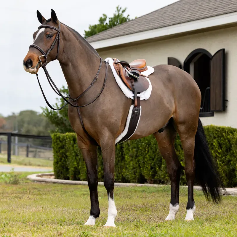 LeMieux Merino+ Hunter Saddle Pad - White/White-1