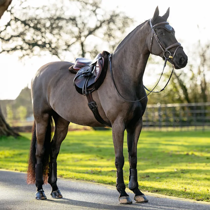 LeMieux Merino+ Hunter Saddle Pad - Brown/Brown-2