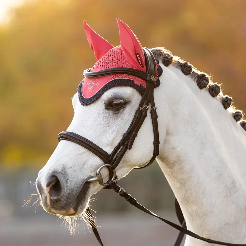 LeMieux Mini Fly Hood - Cranberry-1