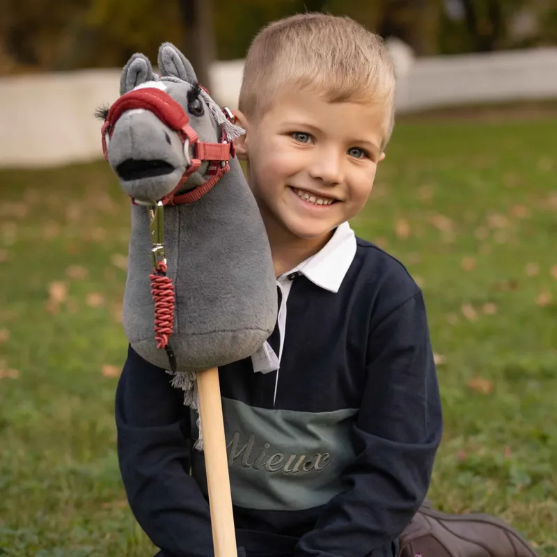 LeMieux Mini Hobby Horse Toy - Smokey-2