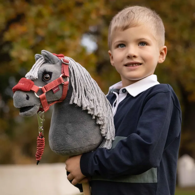 LeMieux Mini Hobby Horse Toy - Smokey-2