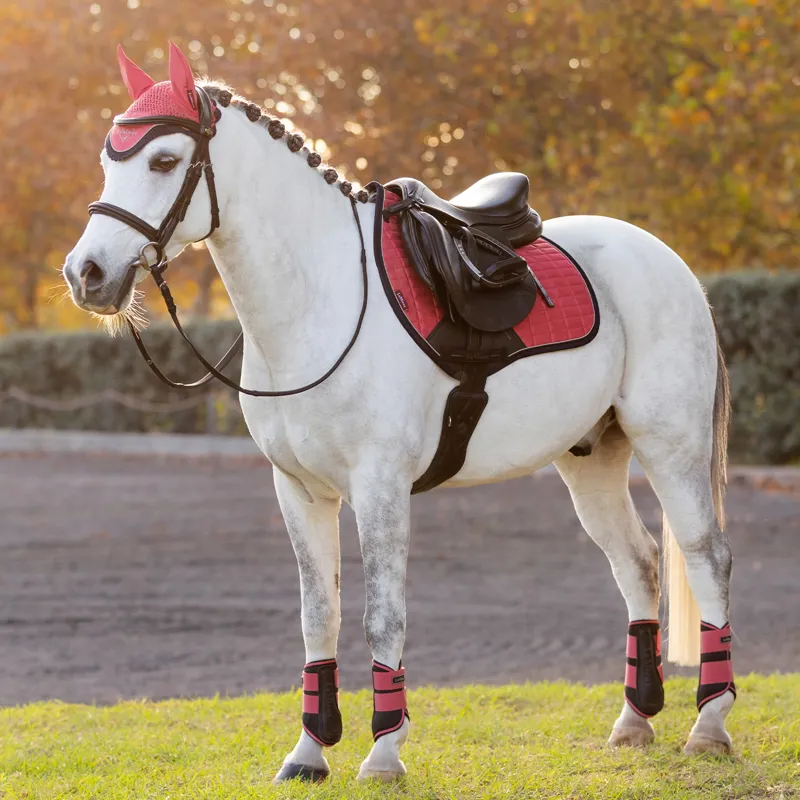 LeMieux Mini Suede Close Contact Square - Cranberry-1