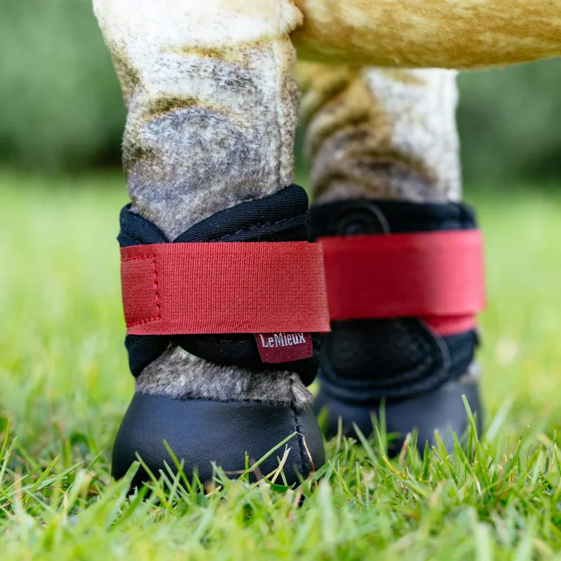 LeMieux Mini Toy Pony Grafter Boots - Chilli-1