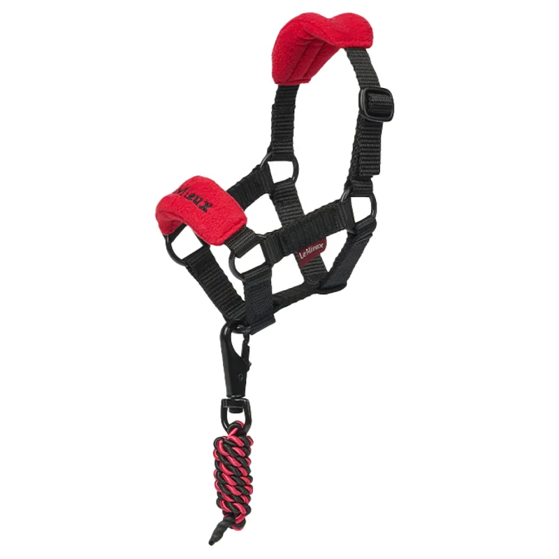 LeMieux Mini Toy Pony Vogue Headcollar - Chilli