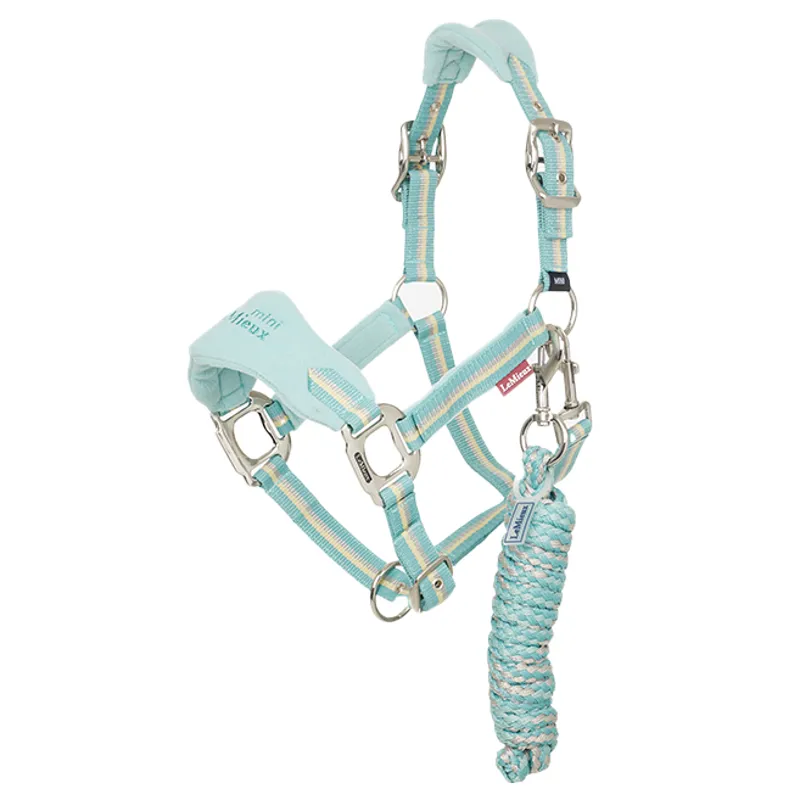LeMieux Mini Vogue Headcollar and Lead Rope - Aqua