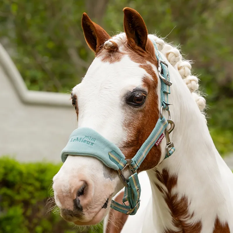 LeMieux Mini Vogue Headcollar and Lead Rope - Aqua-2
