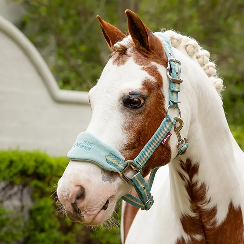 LeMieux Mini Vogue Headcollar and Lead Rope - Aqua-1