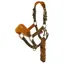 LeMieux Mini Vogue Headcollar and Lead Rope - Alpine