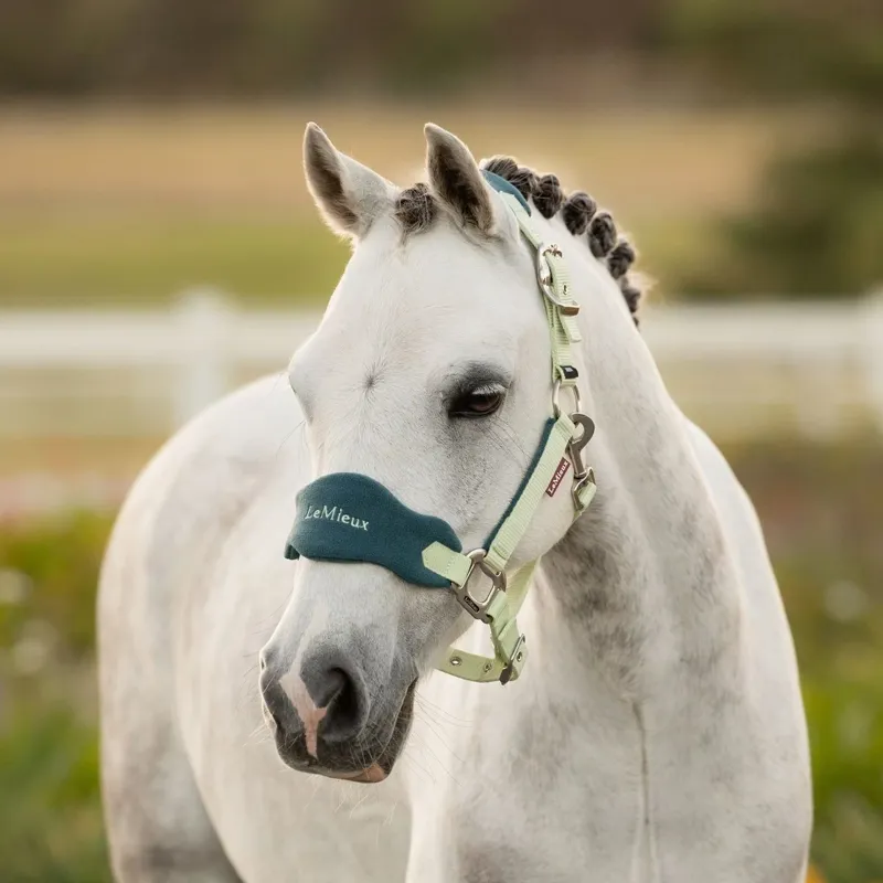 LeMieux Mini Vogue Headcollar and Leadrope  - Macaron-1