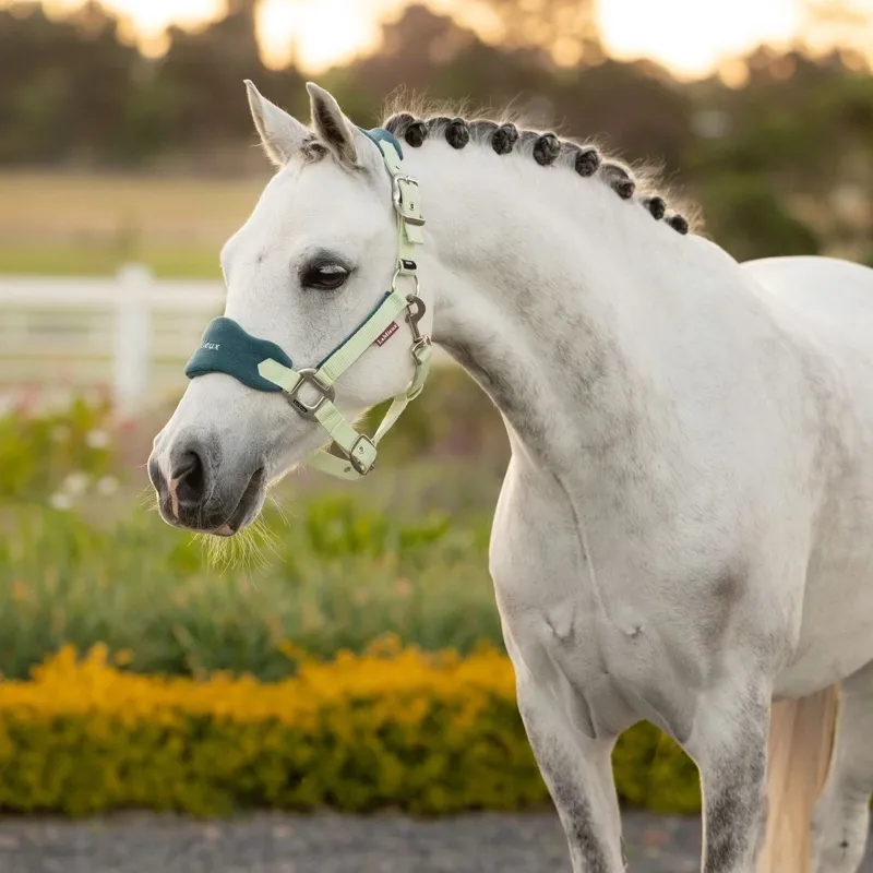 LeMieux Mini Vogue Headcollar and Leadrope  - Macaron-2