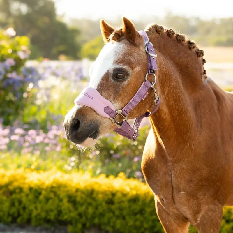 LeMieux Mini Vogue Headcollar and Lead Rope  - Mallow-2