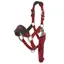 LeMieux Mini Vogue Headcollar and Lead Rope - Ember
